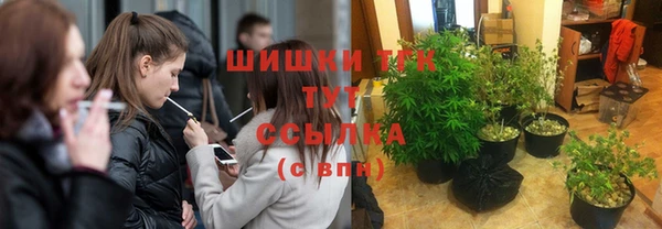 сатива Вяземский