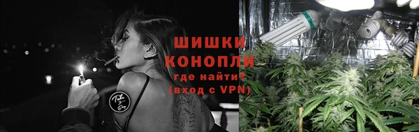 сатива Вяземский