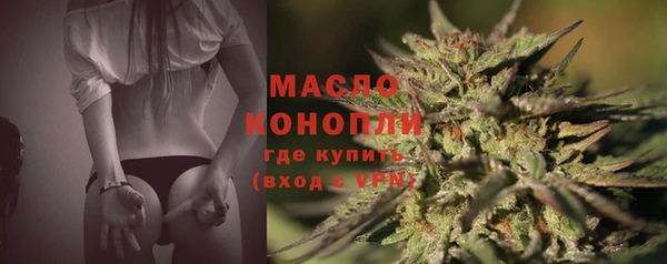 сатива Вяземский