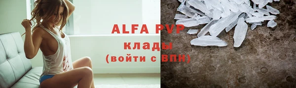 сатива Вяземский