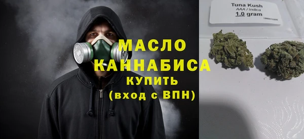 сатива Вяземский