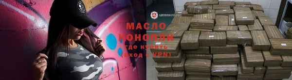 сатива Вяземский