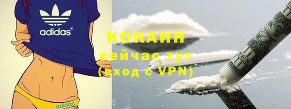 сатива Вяземский