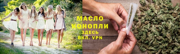 сатива Вяземский